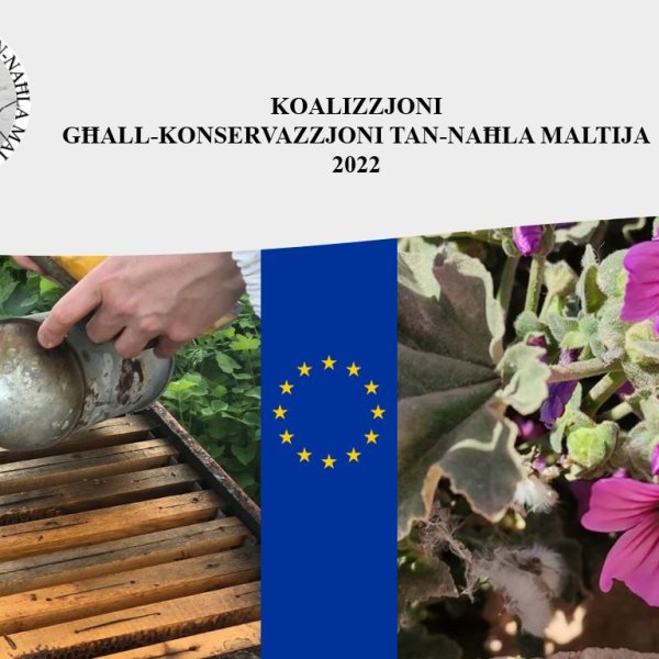 European Parliament Resolution on Policies related to the Conservation of Local Honeybees