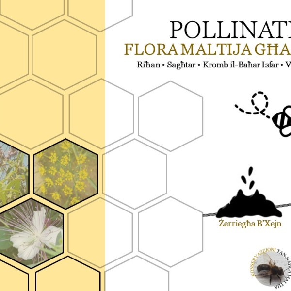 Pollinatives – Flora Maltija għad-Dakkara