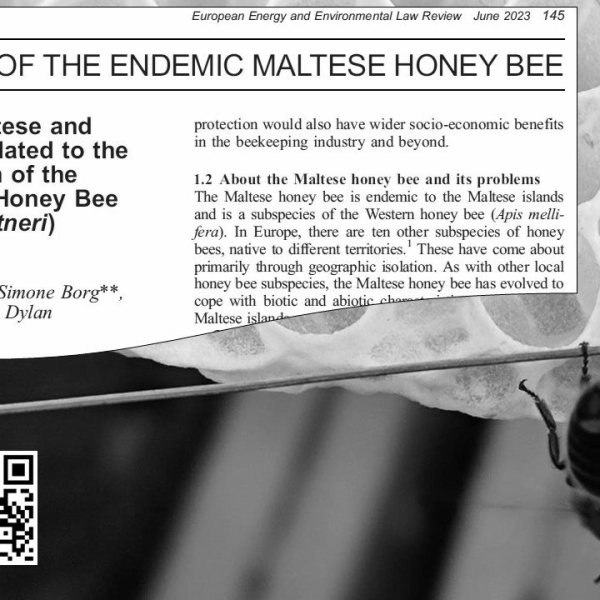 A legal framework that provides a holistic protection to the Maltese Honey bee!