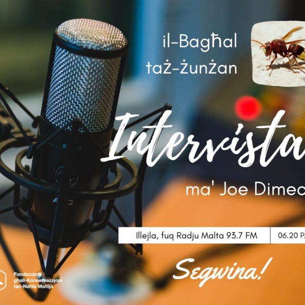 Intervista dwar il-Bagħal taż-Żunżan