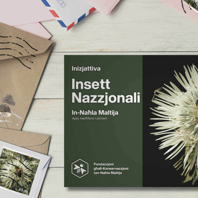 Commemorative Postcard and Pollinator Seed Pack in Support of Malta’s National Insect Initiative